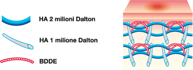 schema gentle cross linking