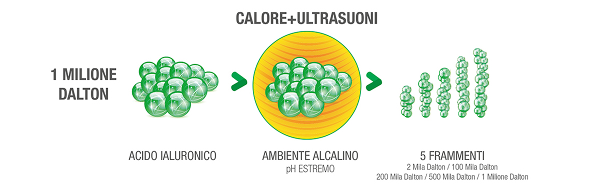 Bioregen - Bioinduttivo multifrazionato