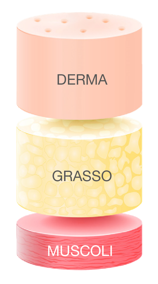 Bioregen - Bioinduttivo multifrazionato