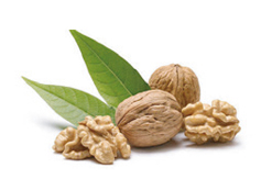 Dermo Q.Ore | Crema lenitiva e Rigenerante pelli sensibili