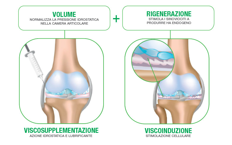 Regenflex BIO-PLUS