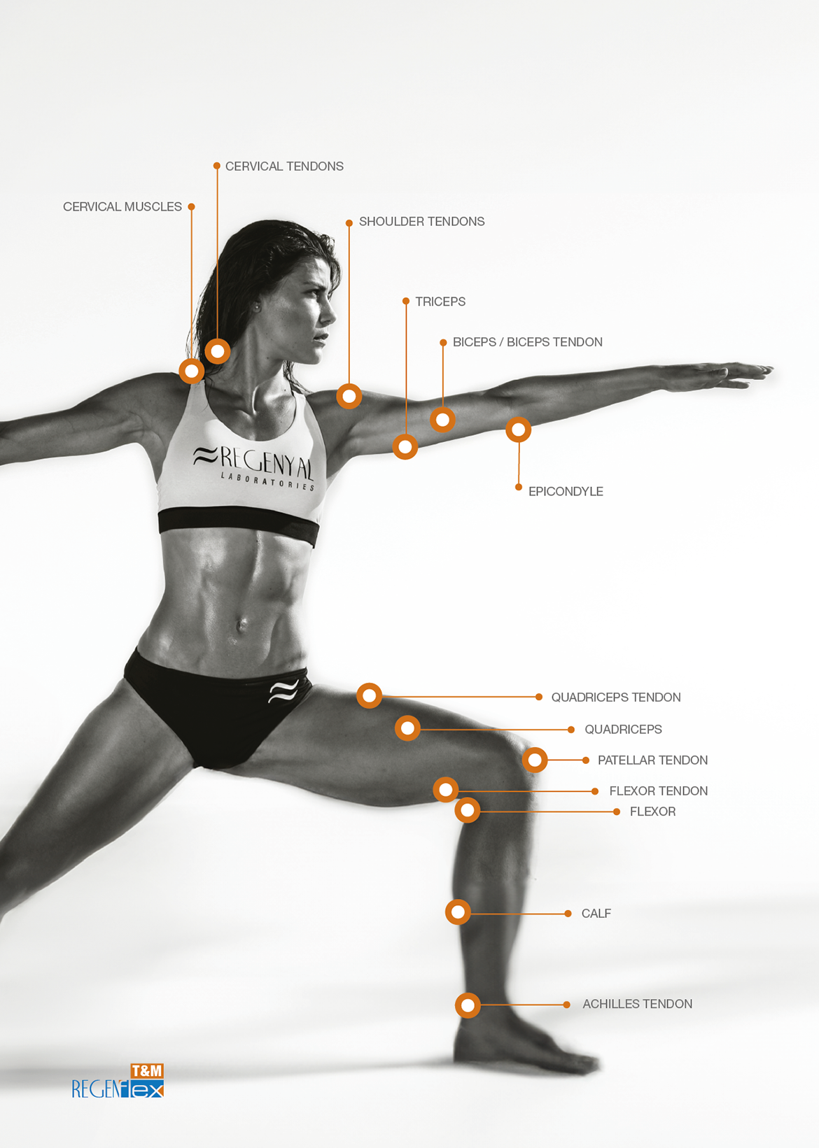 Regenflex Project | Hyaluronic Acid for Orthopaedics