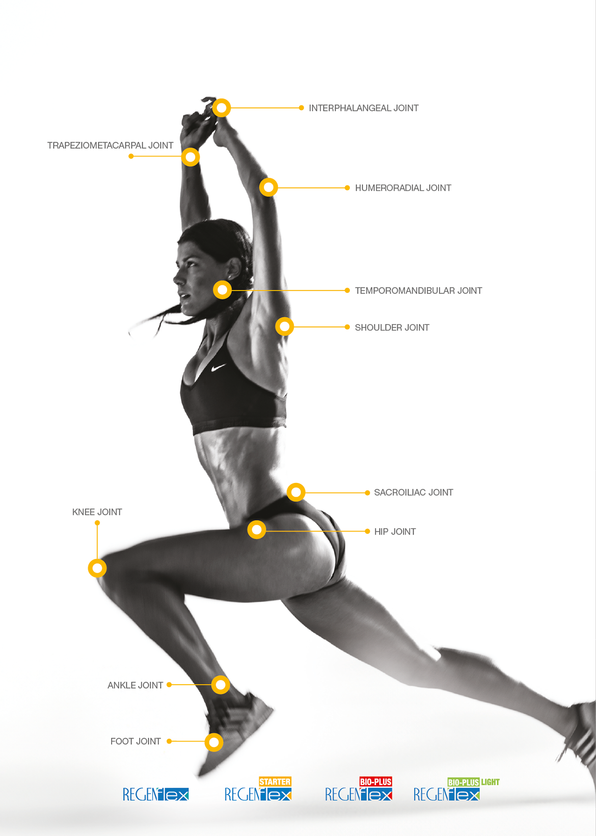 Regenflex Project | Hyaluronic Acid for Orthopaedics